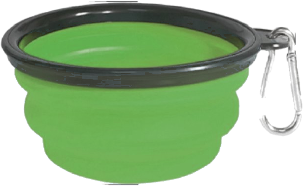 Collapsible Dog Bowl